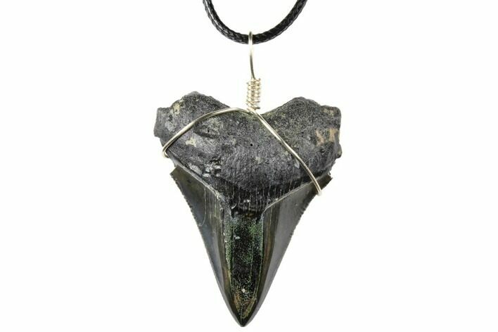 Fossil Megalodon Tooth Necklace - Serrated Blade #130947